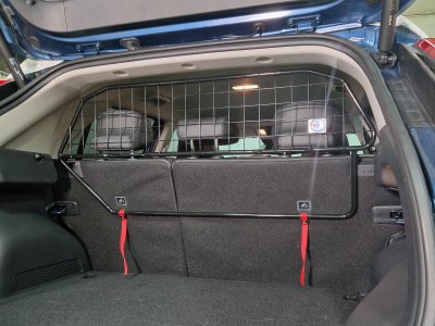 Dog guard Kia Niro from 2023-