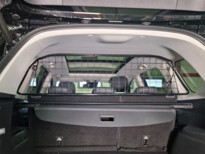 Dog guard Maxus Euniq 6 from 2021-