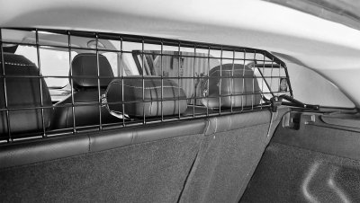 Dog guard MG5 from 2022-