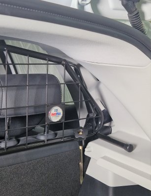 Dog guard MG ZS EV from model year 2020-