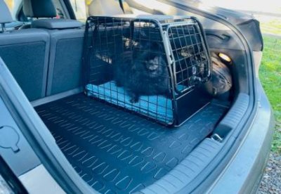 Dog cage Hyundai IONIQ from model year 2016-