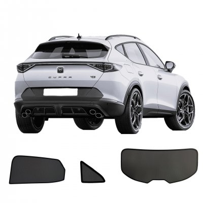 Sun visor Cupra Formentor from 2021-