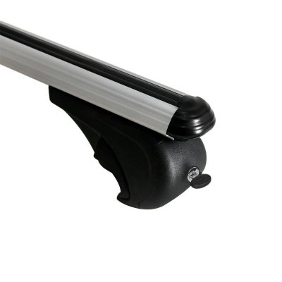 Roof rack Renault Trafic from 2002-2014 | Alpha V1 | Silver