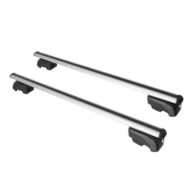 Roof rack Lexus NX 2015-2021 | Beta V2 | Silver