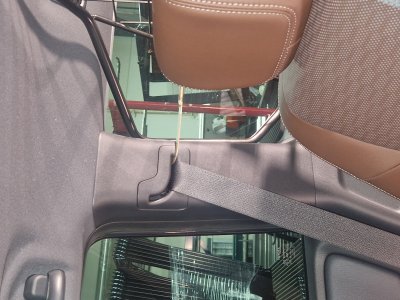 Dog guard Toyota Land Cruiser from 2024-